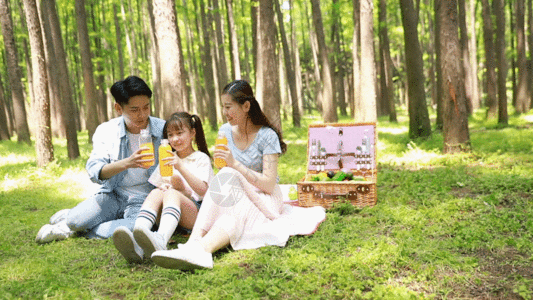家庭野餐一家人在公园森林里游玩GIF高清图片