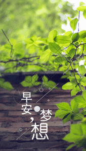 早安问候手机海报gif动图图片素材