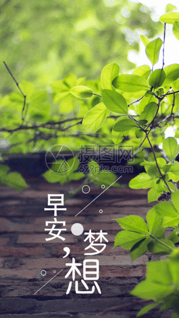 早安问候手机海报gif动图动图图片-正版gif素材401080133-摄图网