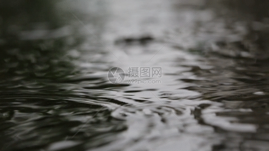 摄图网为您提供gif动图正版 gif动态图片下载,该gif动态图片标题为
