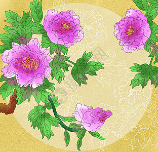 中国风国潮工笔紫牡丹花卉背景图片
