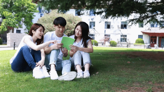 大学生草地上学习讨论gif图片素材