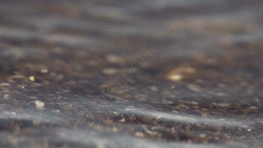 清澈河水GIF图片