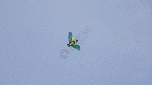 飞翔的风筝GIF图片