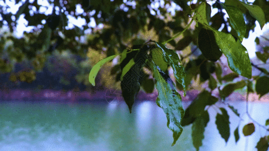 空镜湖面风景GIF高清图片