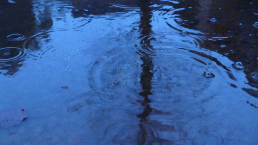 湖面雨滴GIF图片