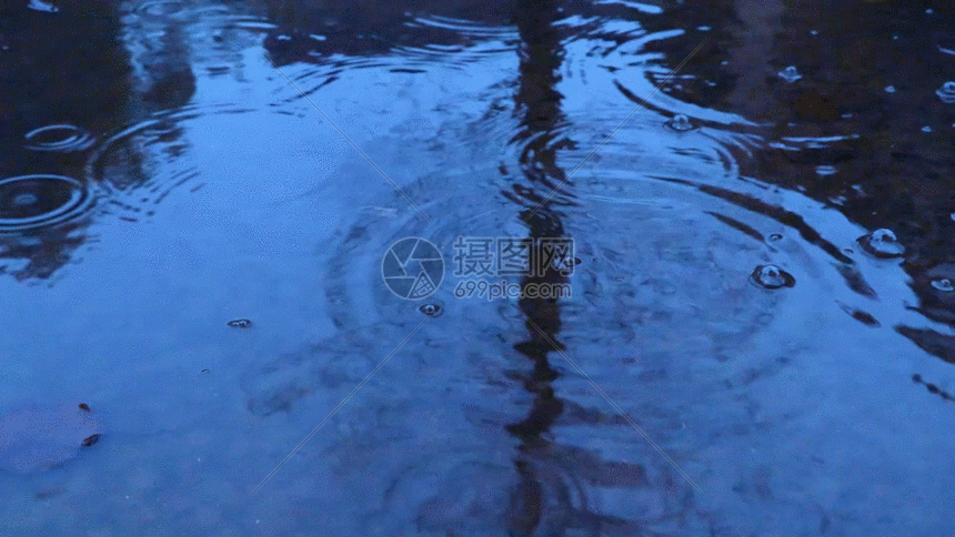 您提供gif动图正版 gif动态图片下载,该gif动态图片标题为湖面雨滴gif