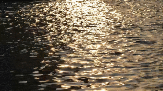 湖面流水GIF图片素材