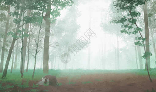 迷雾森林GIF图片
