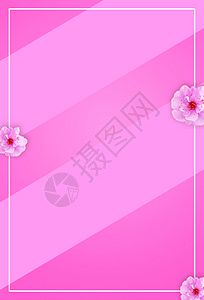 粉色色块背景背景图片