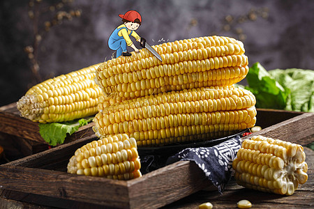 玉米创意摄影插画图片