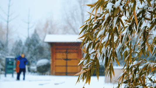 冬天的雪景GIF图片