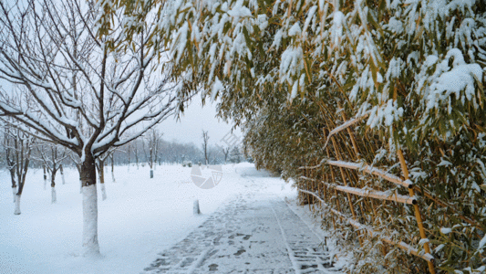 ps栅栏素材美丽雪景GIF高清图片