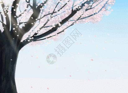 樱花树gif图片