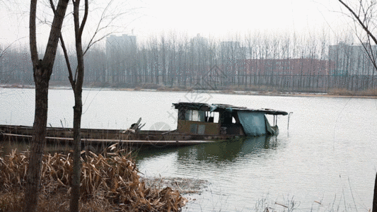 冬天湖里的破旧小船GIF图片