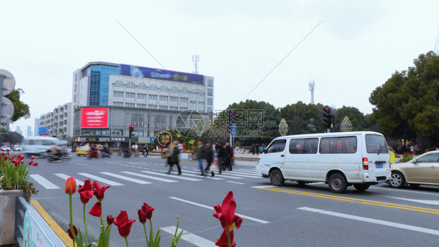 城市街道绿化公路交通延时gif
