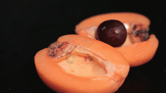 果树h5切开枇杷gif高清图片