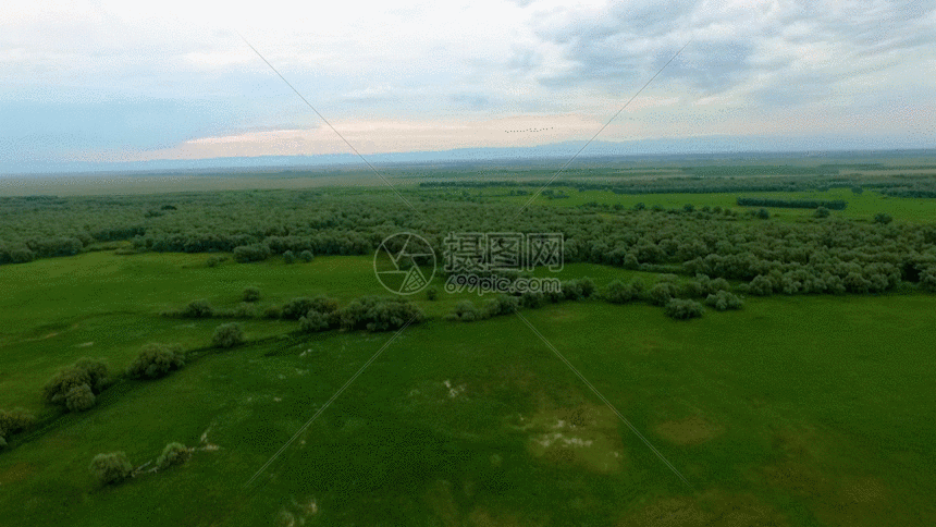 新疆航拍原始森林草原GIF图片