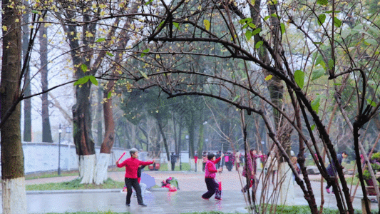 清晨的城市公园健身GIF高清图片