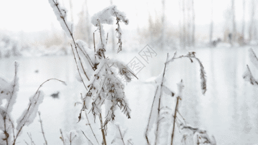 新疆冬季温泉雪景GIF图片