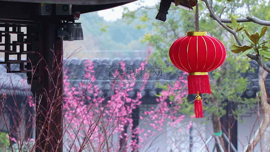 摄图网为您提供gif动图正版 gif动态图片下载,该gif动态图片标题为