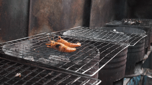 烤虾放虾慢动作实拍视频GIF图片