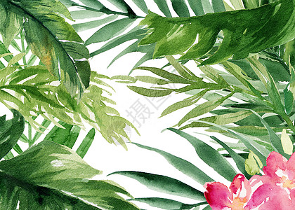 绿色植物手绘背景绿植花卉背景设计图片