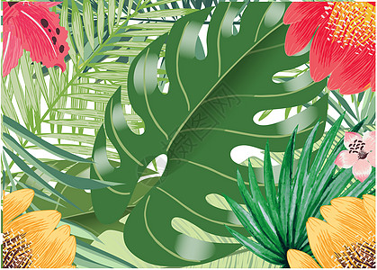 热带花卉背景图片