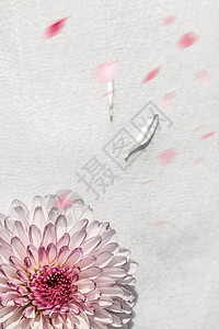 大气花卉背景图片