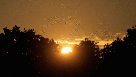 傍晚瑜伽gif图片-傍晚瑜伽动态图-傍晚瑜伽gif格式下载-摄图网