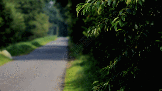 汽车正侧面道路旁的草丛灌木GIF高清图片