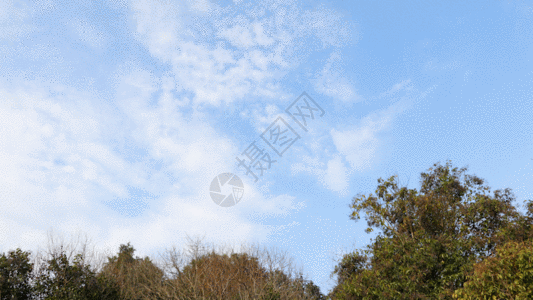 树林天空自然天空延时GIF高清图片