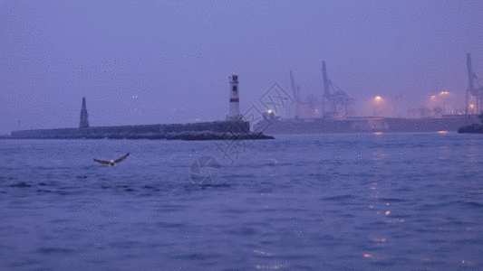 运输 码头夜幕平静港口海鸥飞翔GIF高清图片