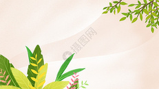 绿植花卉背景图片