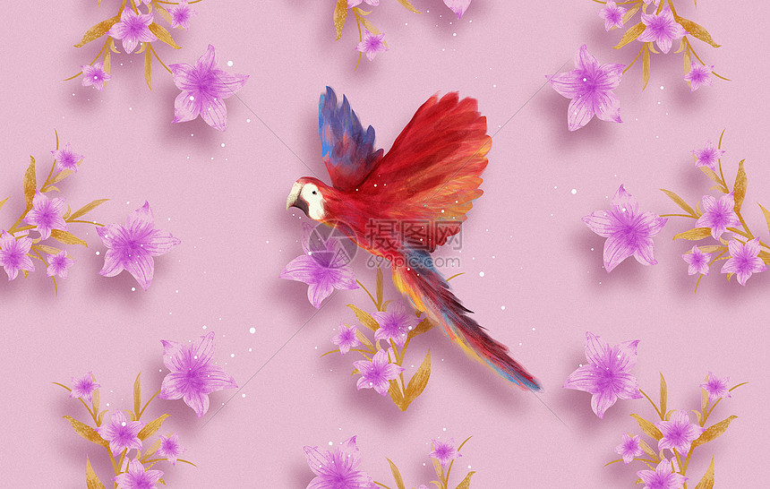 鹦鹉花卉背景插画图片