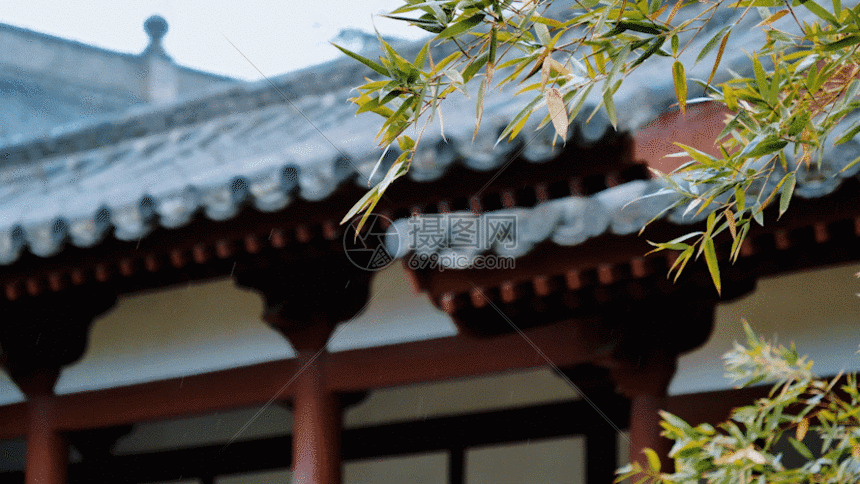 该  gif动态图片 标题为          屋檐下柳树gif,编号: 401123198