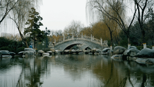 小桥雨水GIF图片