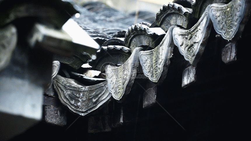 摄图网为您提供gif动图正版 gif动态图片下载,该gif动态图片标题为