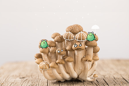 菌菇创意蘑菇插画