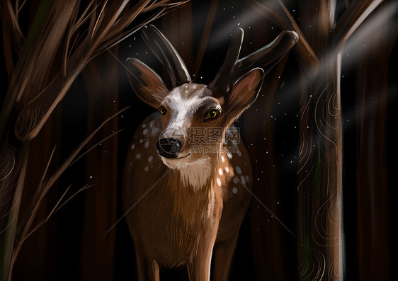深林里沐浴阳光的鹿治愈插画图片