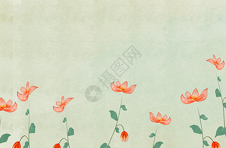 郁金香手绘花卉植物背景设计图片