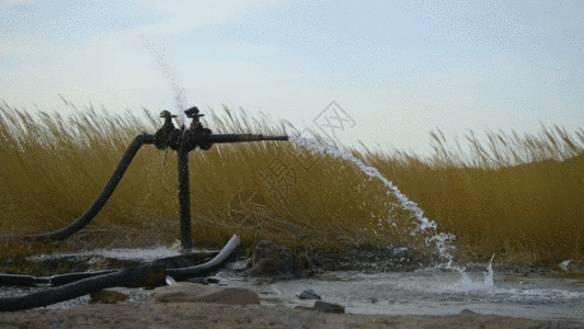 水管新疆水资源戈壁湿地植被芦苇日落GIF高清图片