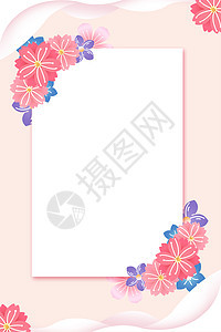 粉色边框花卉背景图片