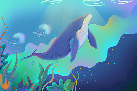 海底海豚水草图片