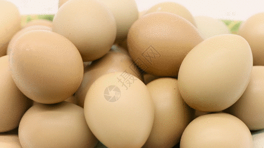 鸡蛋特写GIF图片