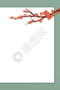 清新梅花背景背景图片