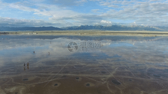 青海茶卡盐湖景区航拍视频GIF图片