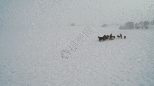 雪地风光内蒙古乌兰布统坝上草原冬季跑马航拍视频GIF高清图片