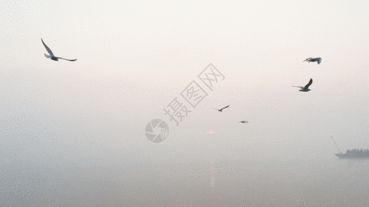 印度瓦拉纳西恒河日出GIF图片