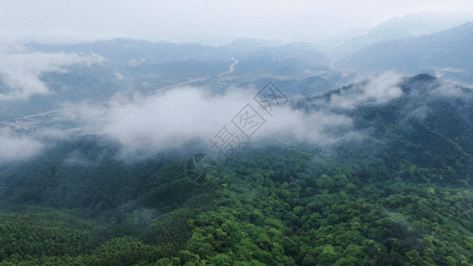 云雾山脉GIF图片